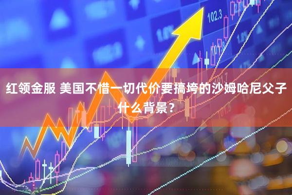 红领金服 美国不惜一切代价要搞垮的沙姆哈尼父子什么背景？