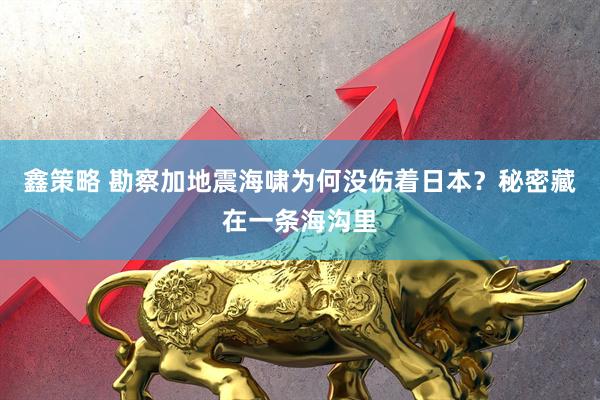 鑫策略 勘察加地震海啸为何没伤着日本？秘密藏在一条海沟里