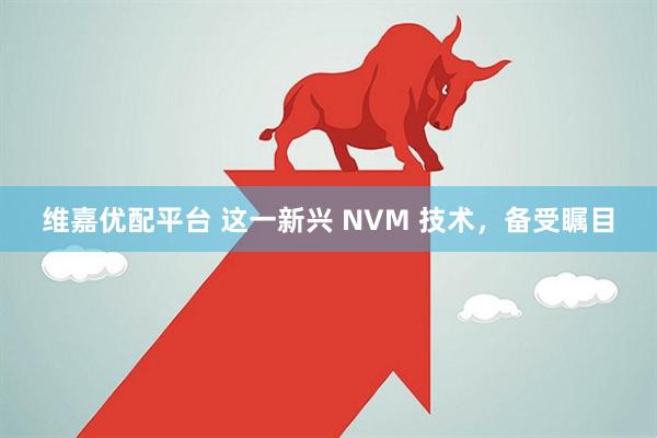 维嘉优配平台 这一新兴 NVM 技术，备受瞩目
